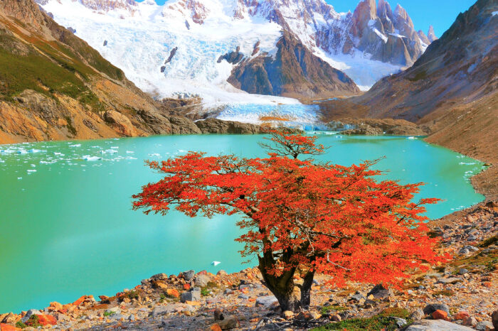 3 Day Tours for Cruise Ship